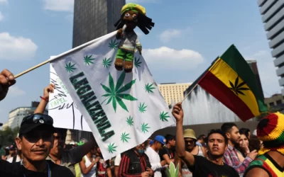 Supreme Court in Mexico declares cannabis prohibition unconstitutional